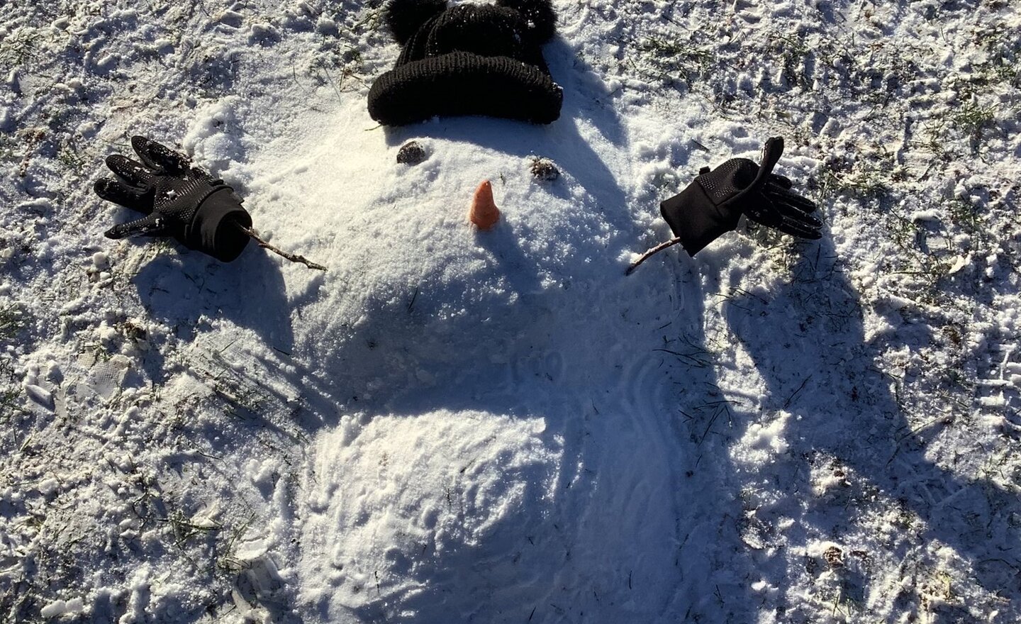 Image of Snow much fun