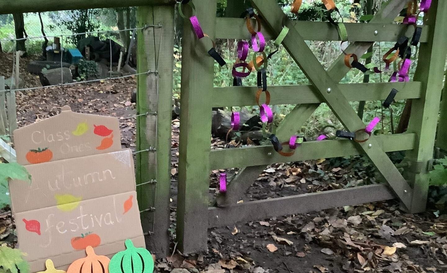 Image of Autumn festival!