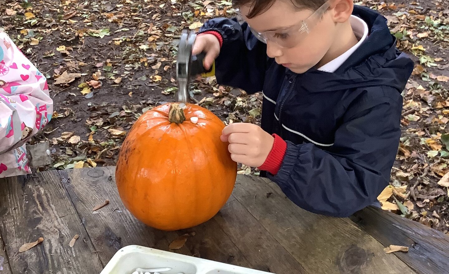 Image of Pumpkin hammering!