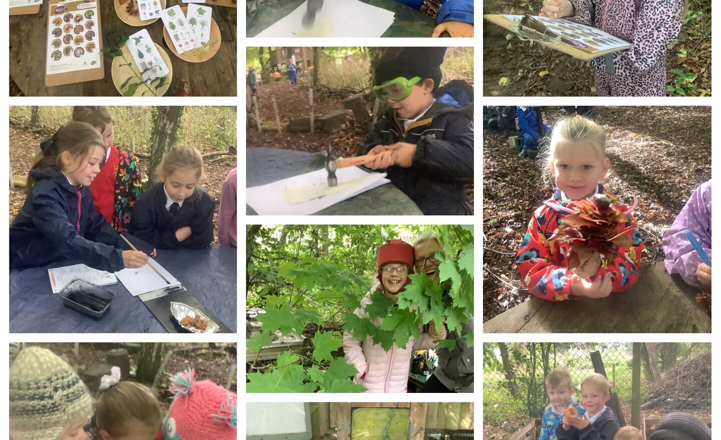 Image of Autumn Forest School