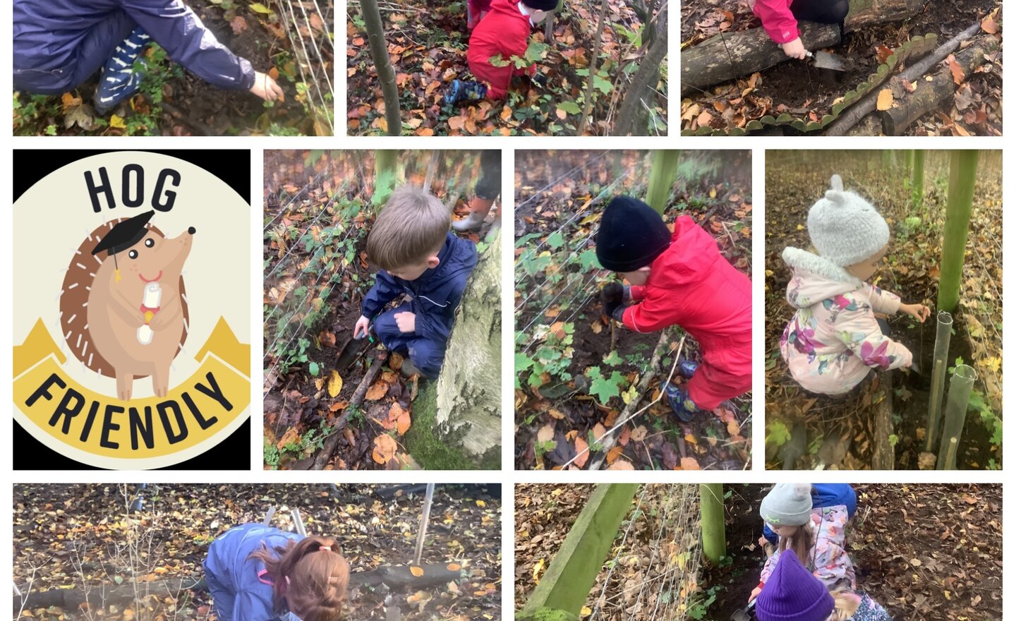 Image of Tree planting