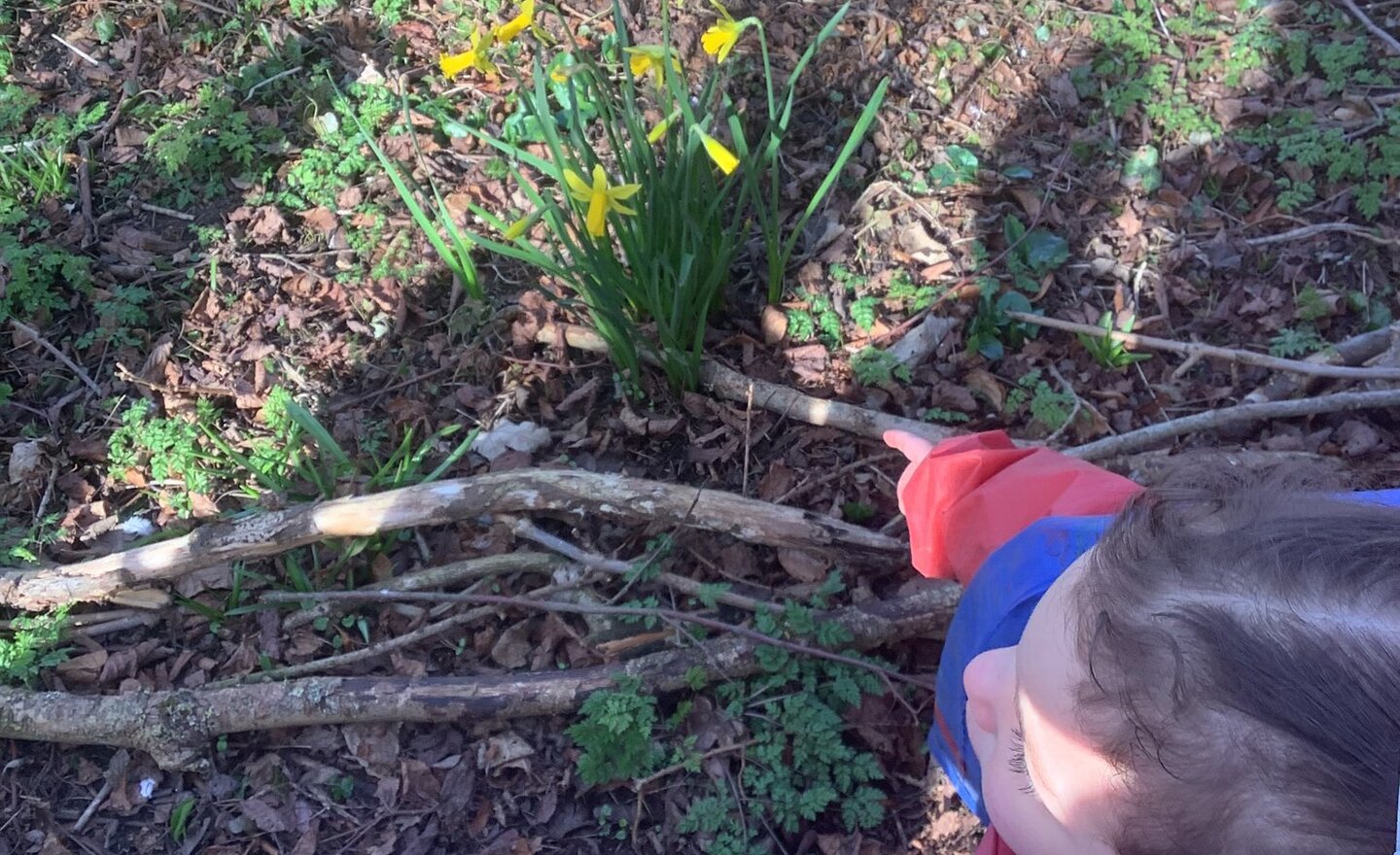 Image of Spring has sprung!