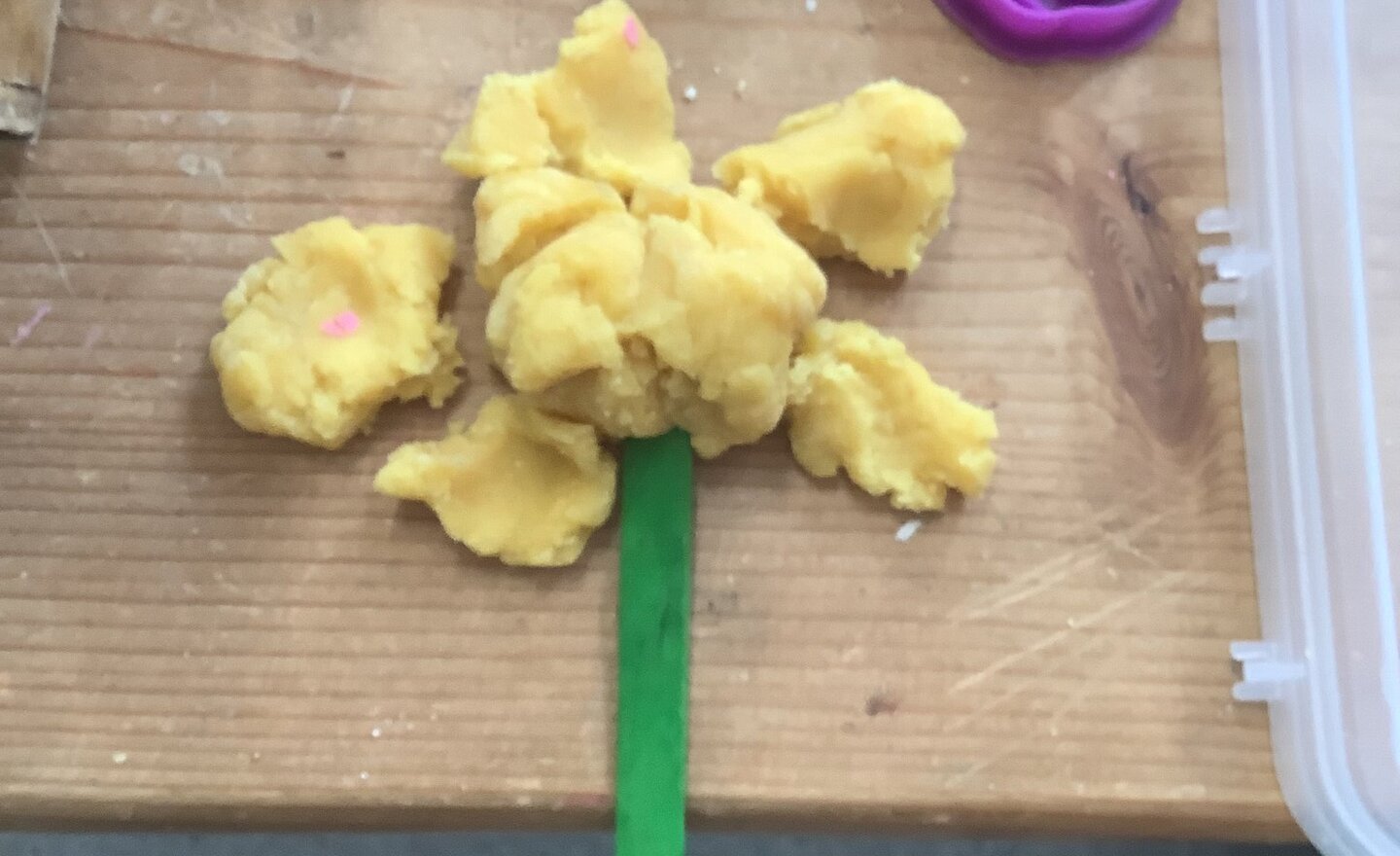 Image of Colton Daffodils!