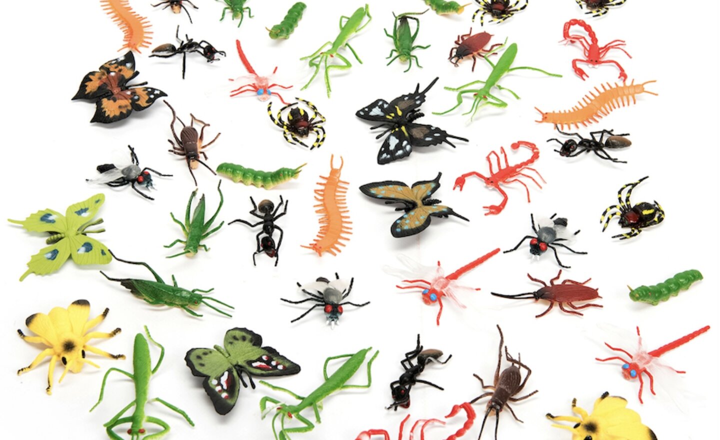 Image of Minibeast Hunt