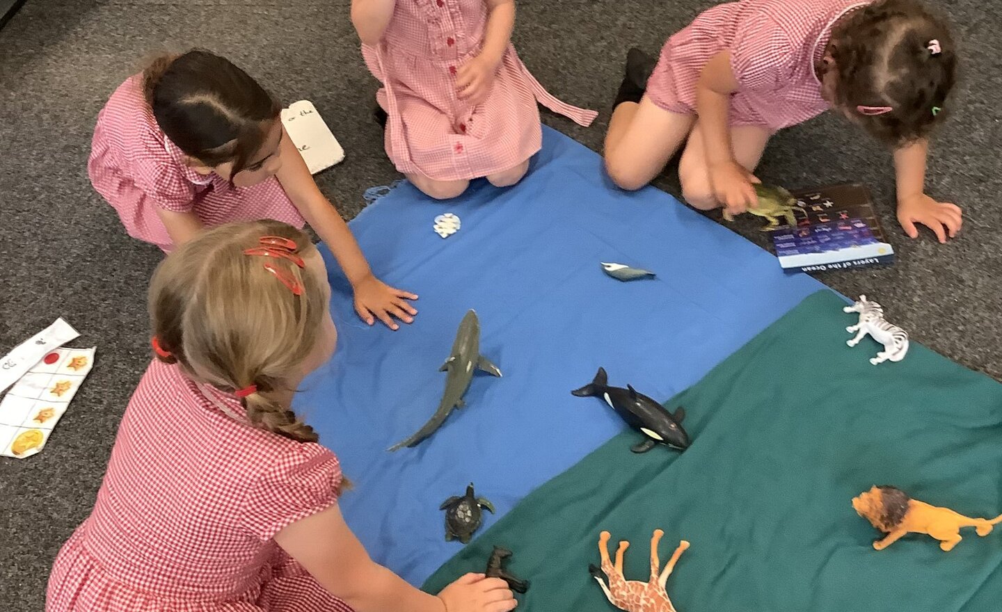 Image of Does it live on land, in the sea or can it live in both?