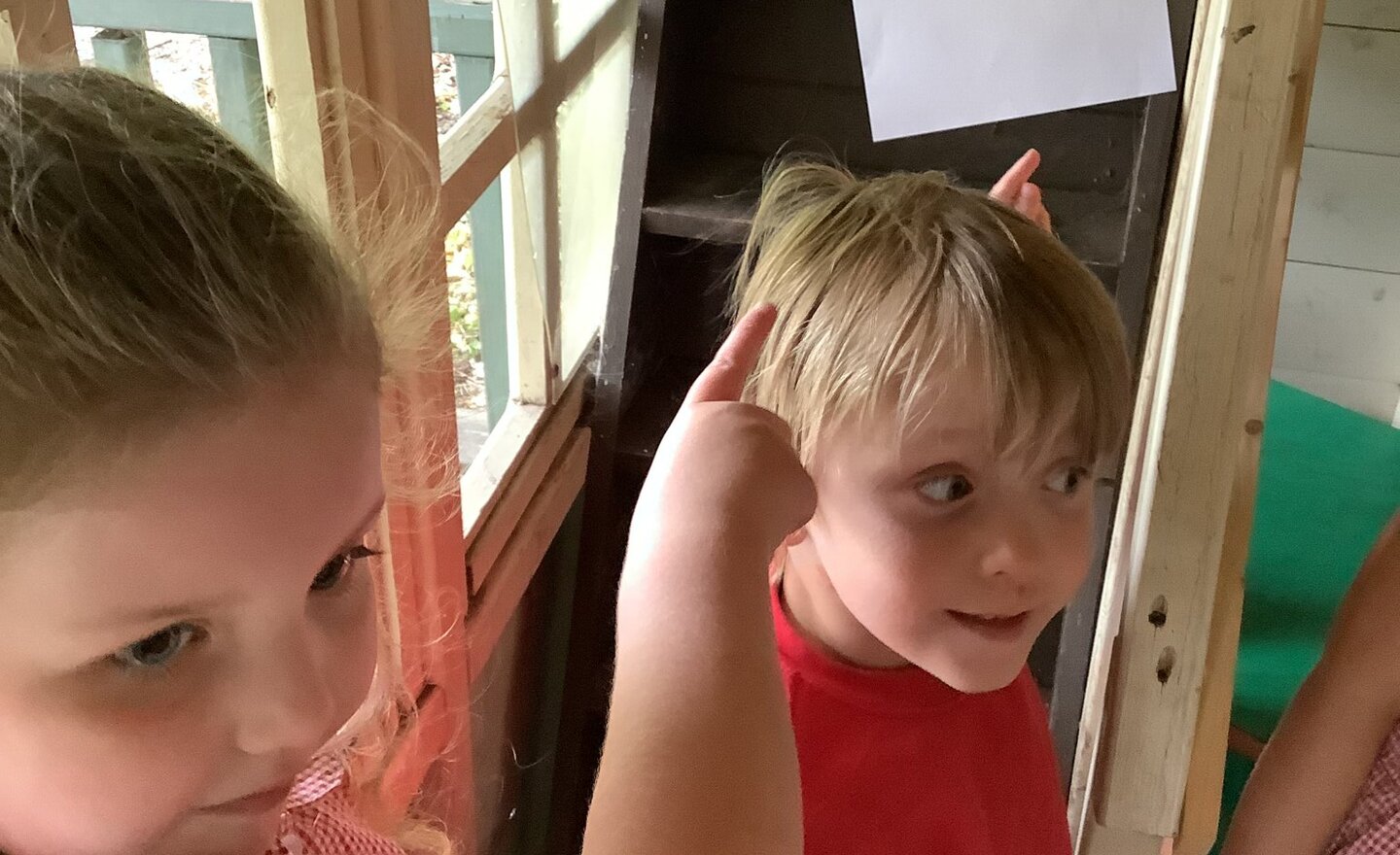 Image of There is a shark in the park!