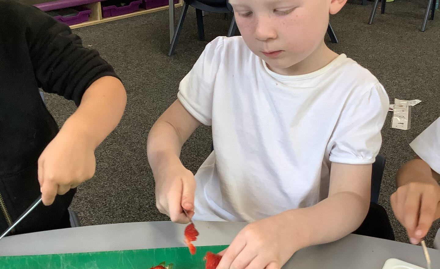 Image of Making fruit ice lollies!