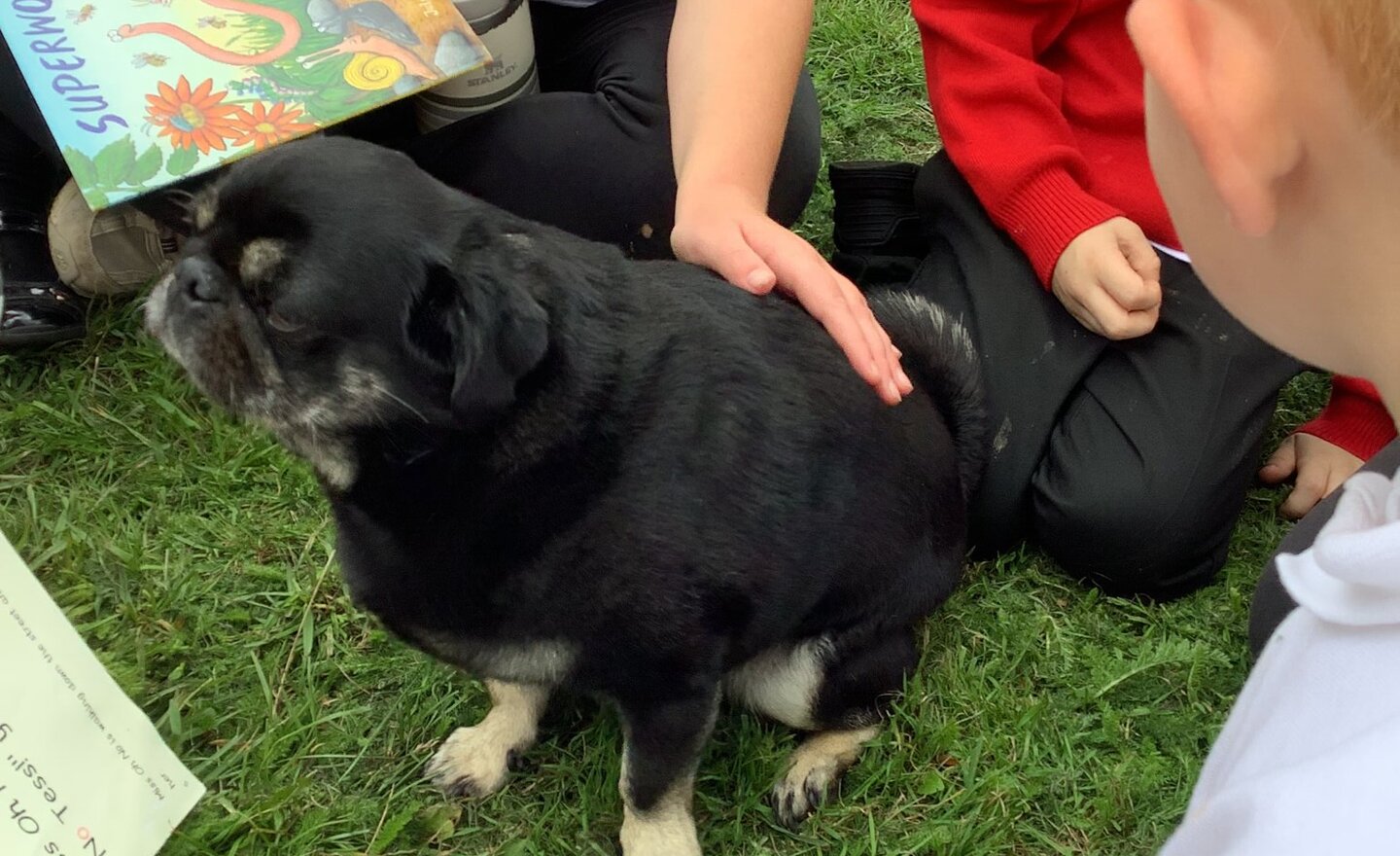 Image of Shared reading with Ralph!