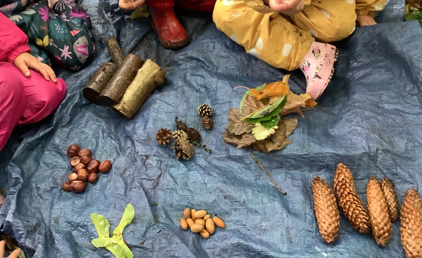 Image of Noticing and sorting! 