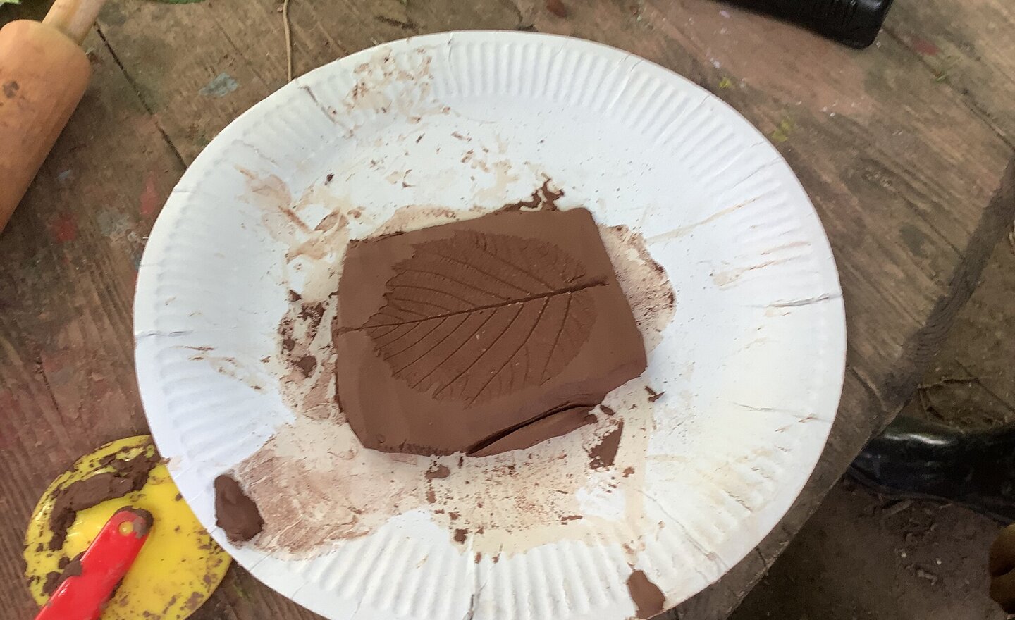 Image of Dinosaurs and Fossils