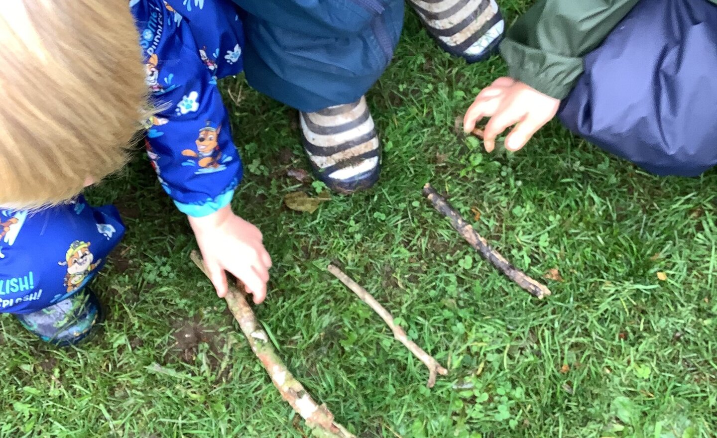 Image of Finding 1,2,3! 