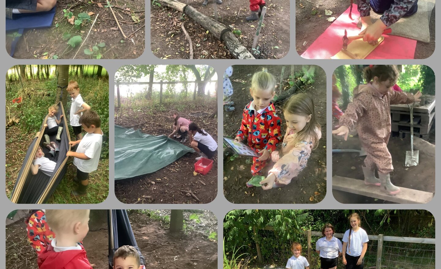 Image of A Hammock and a Hedgehog ramp