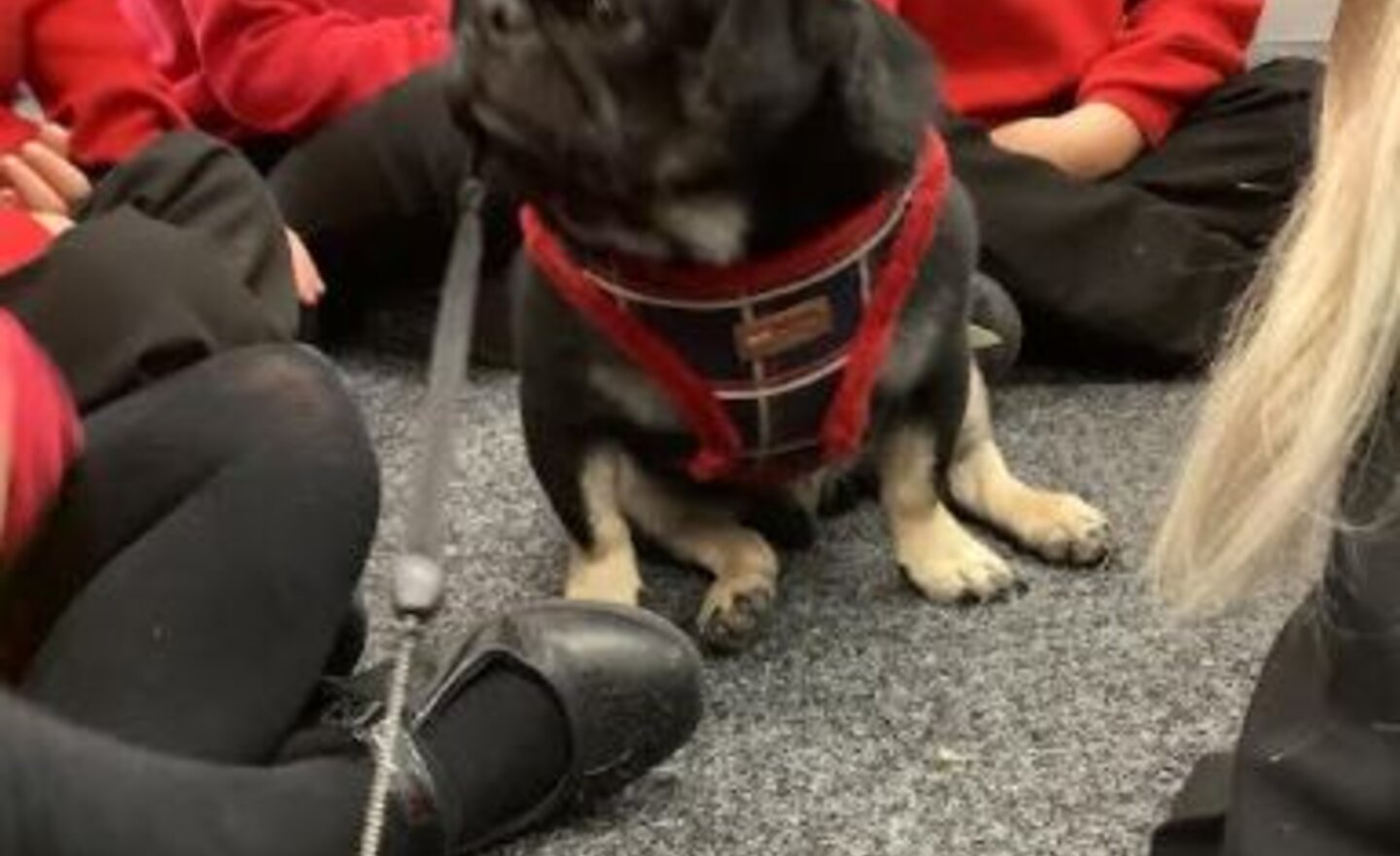 Image of Ralph joined Reception for Monster Phonics today!