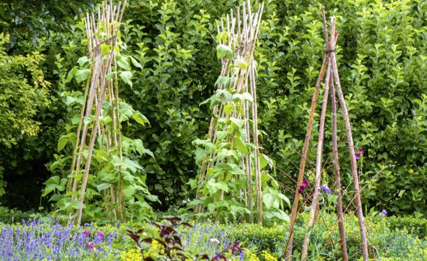 Image of COLOURFUL COLOURS!!!!!