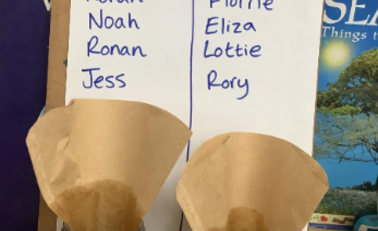 Image of Mini scientists