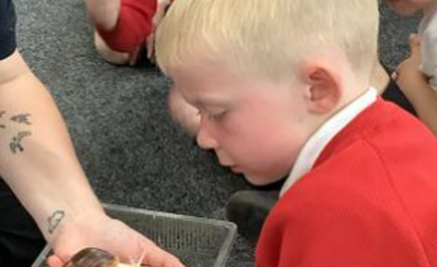 Image of A super animal visit from Rodbaston!