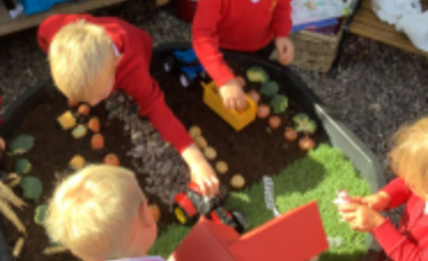 Image of Harvest and fruit and vegetables!