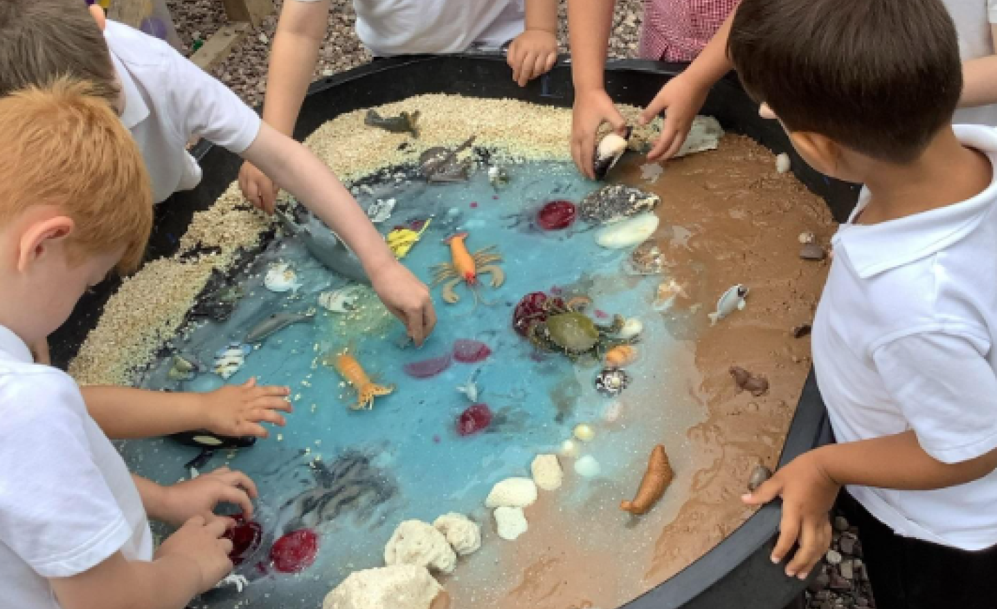 Image of Under the sea!