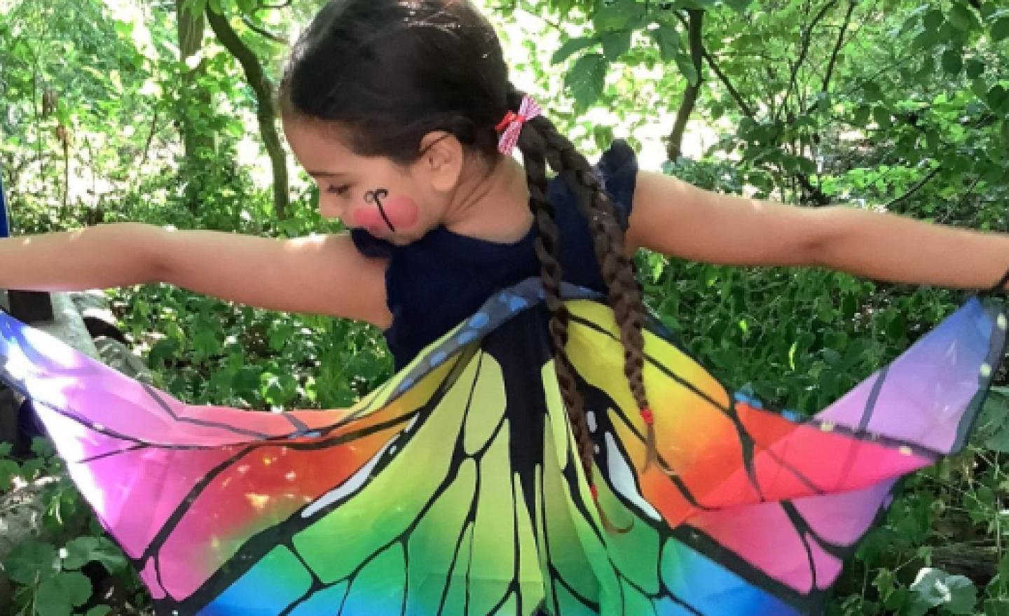 Image of Flying like a...butterfly?!