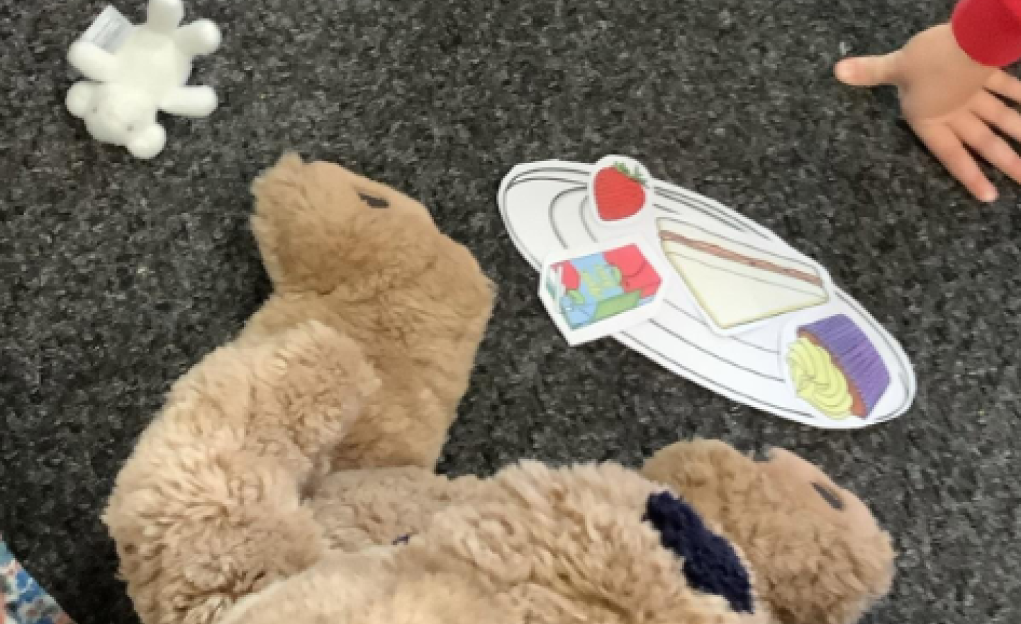 Image of Learning about size and sorting by size!