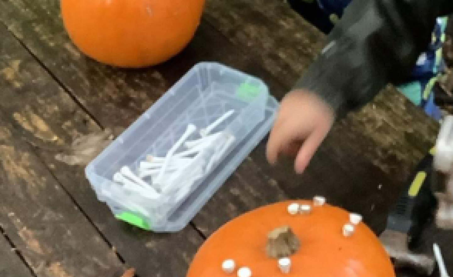 Image of Pumpkin hammering!