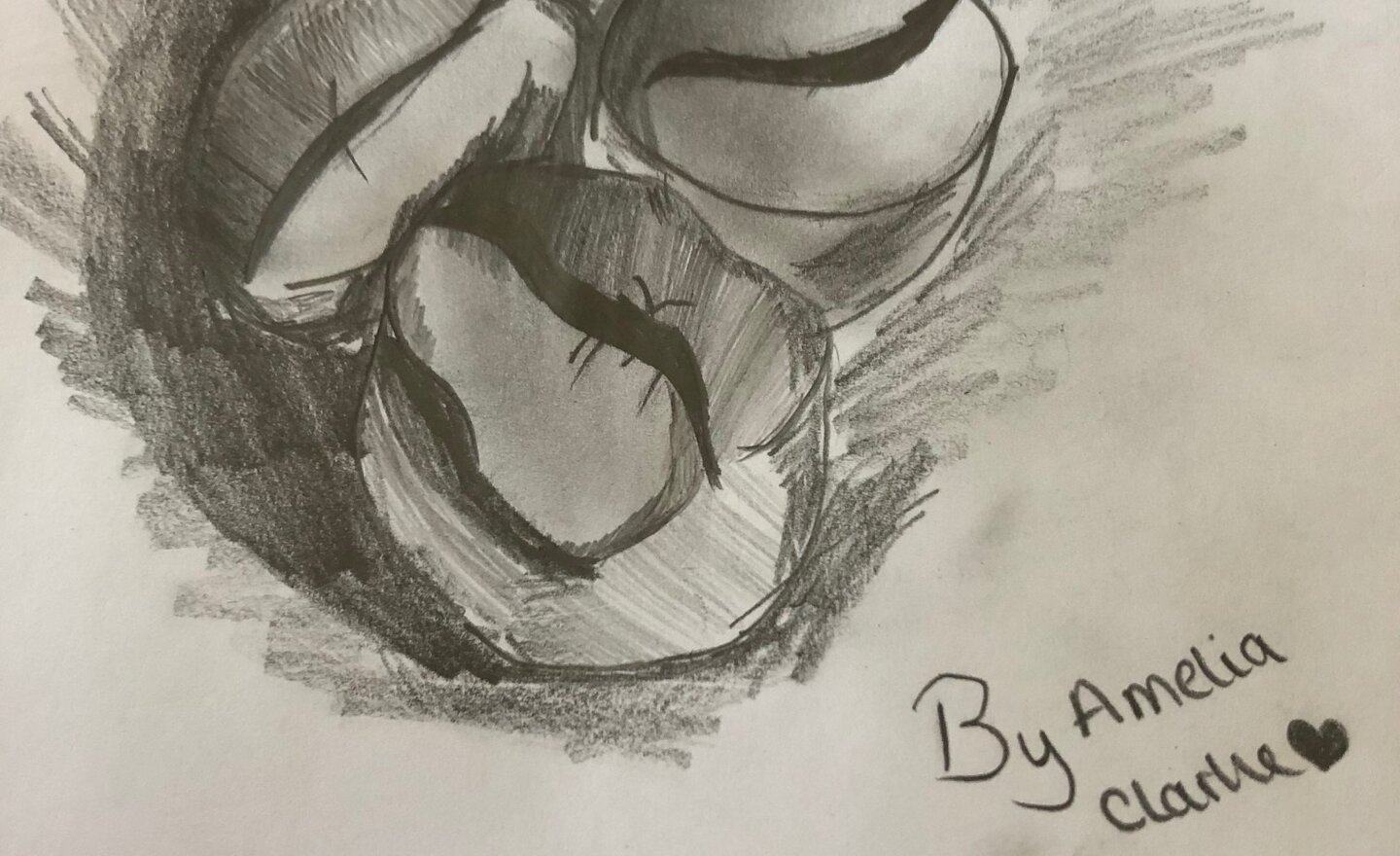 Image of Amelia's Coffee Beans Sketch