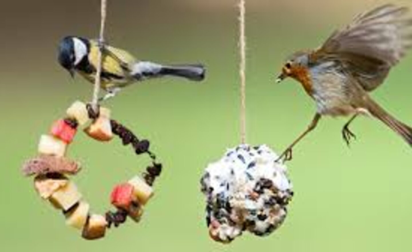 Image of Class 1 school closure learning Friday 15th January 2021