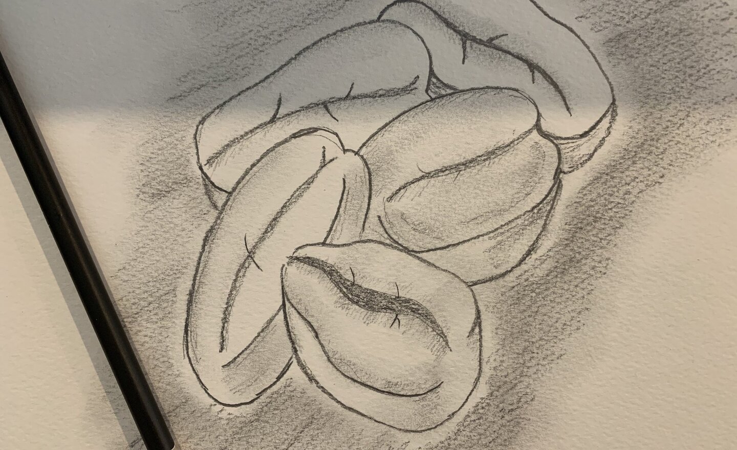 Image of Trade Art Lesson One- Challenge Coffee Beans