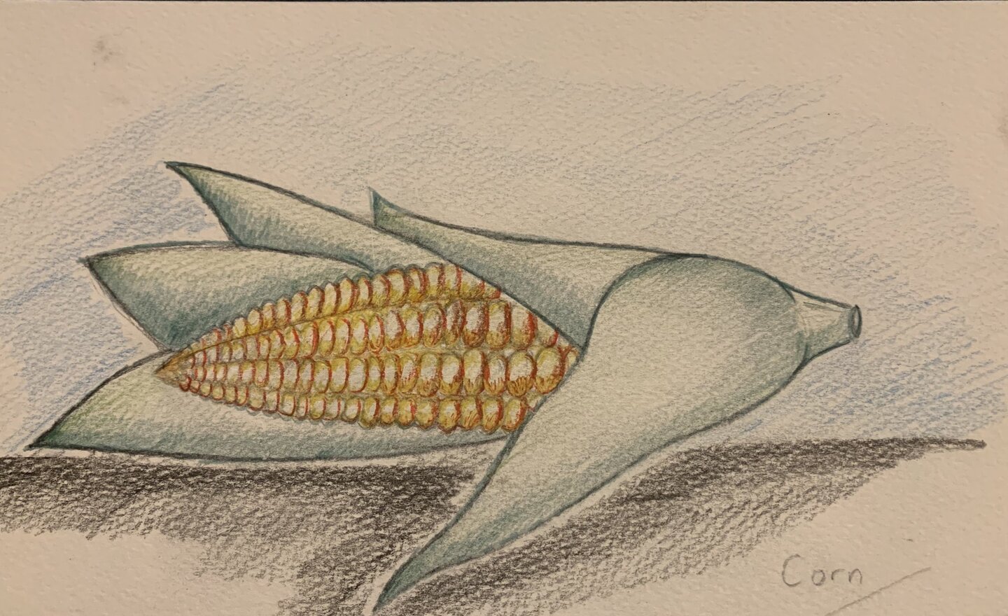 Image of Trade Art Lesson Two- Corn Challenge
