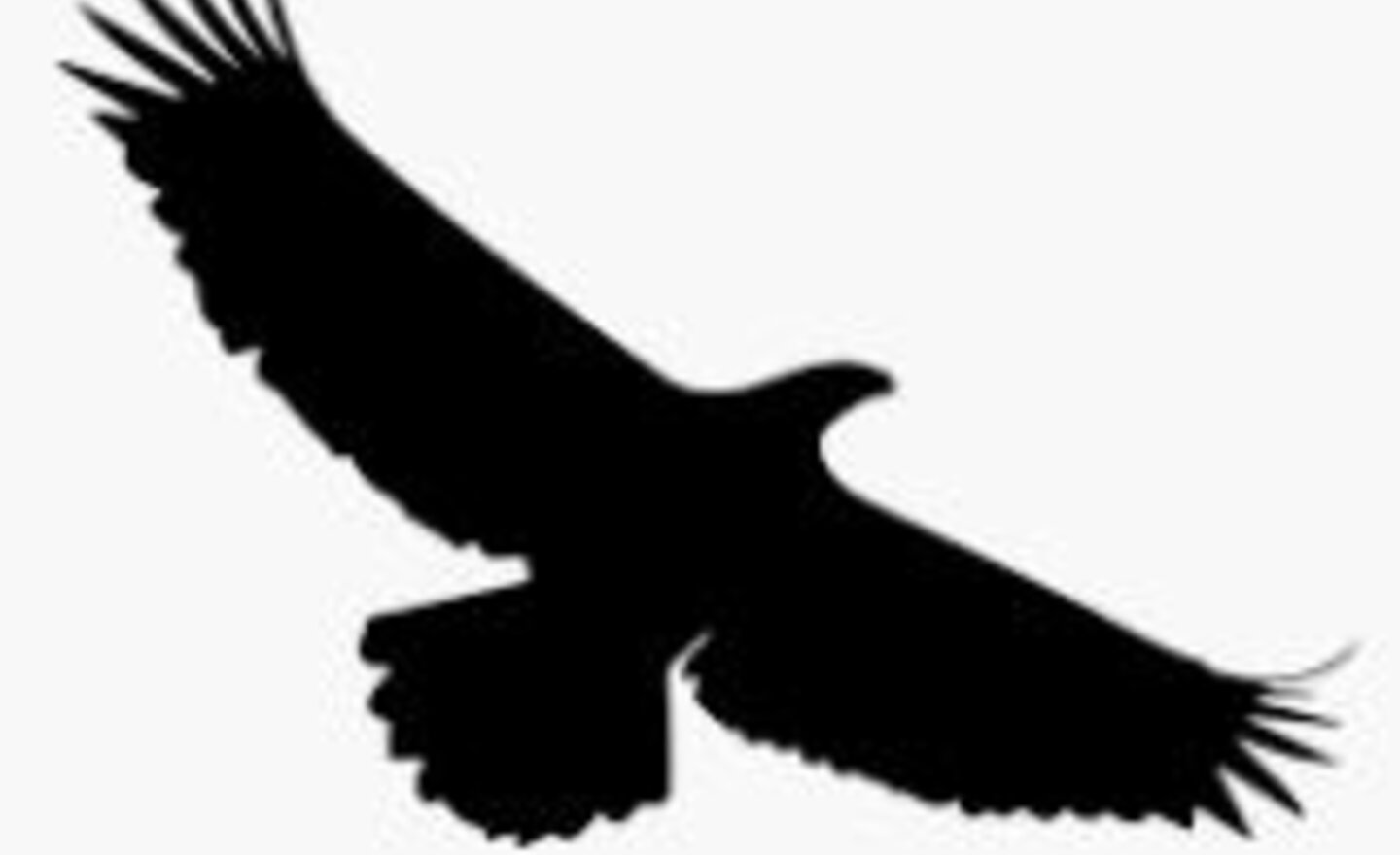 Image of Weekly update written by the children 