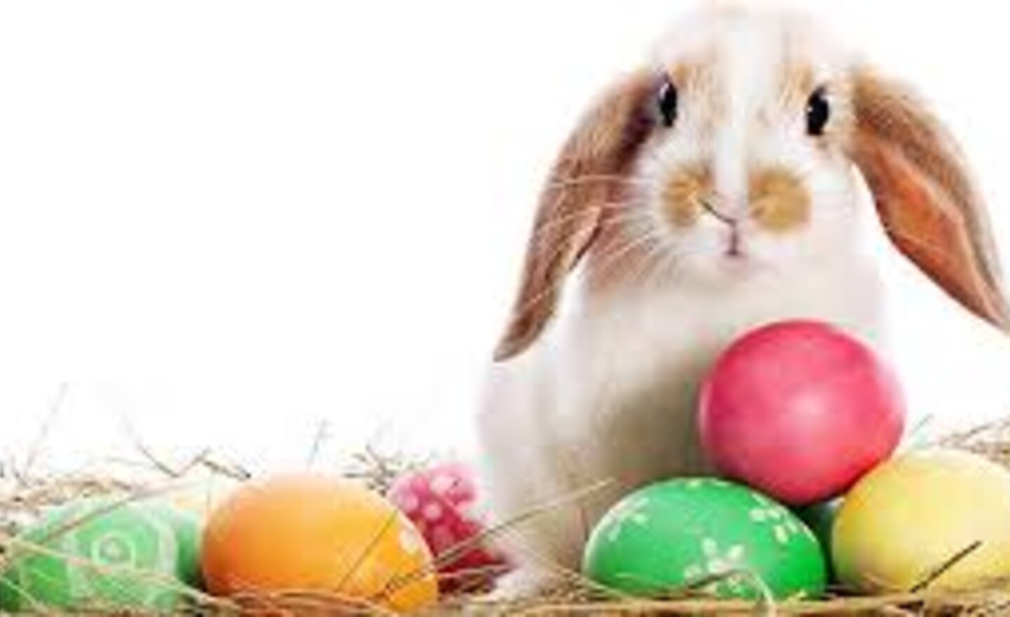 Image of Class 4 Easter Activity Ideas- for the next two weeks....