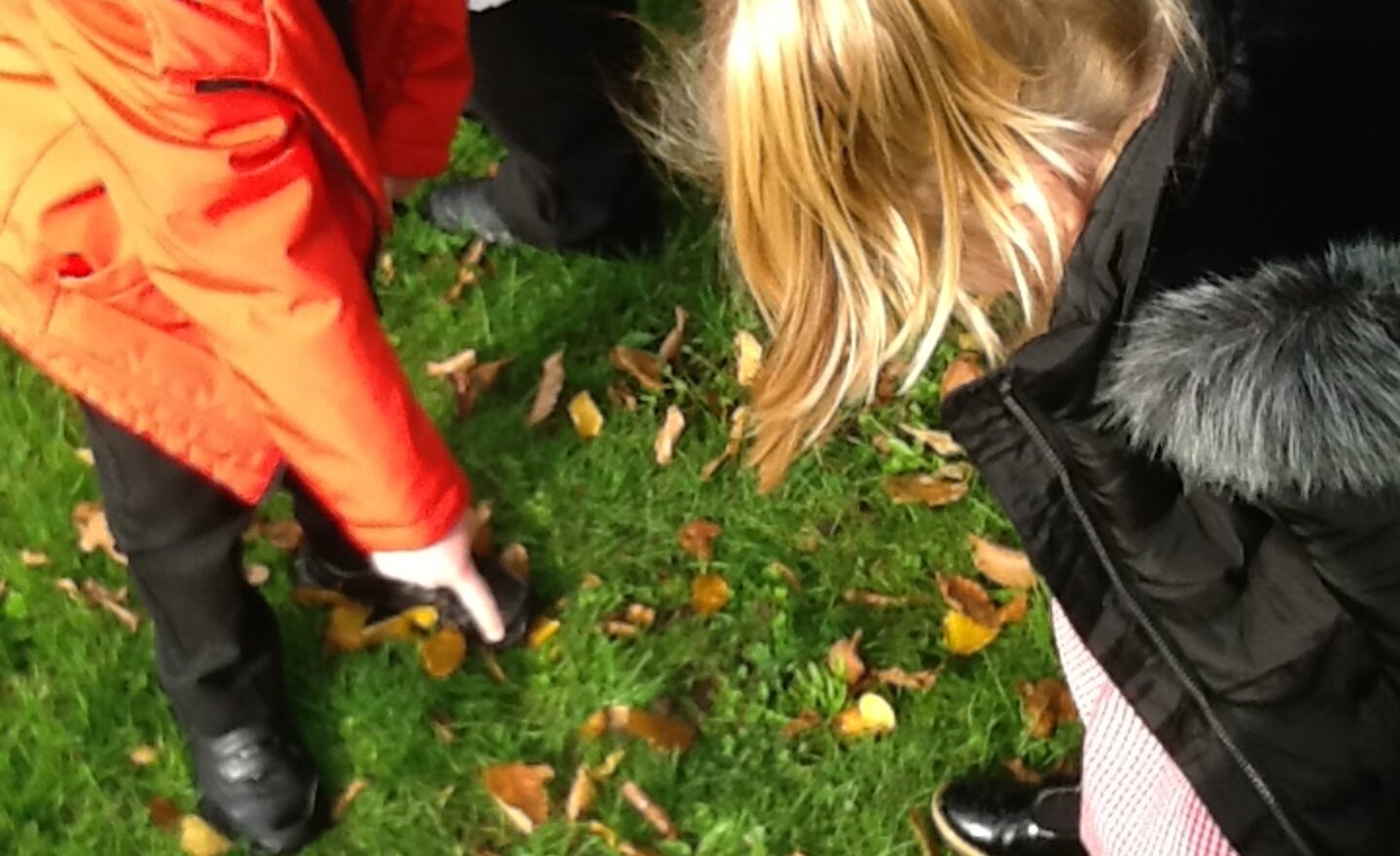 Image of Subitising!