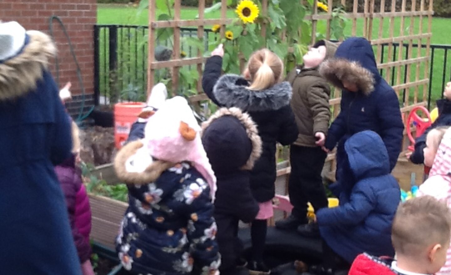 Image of Trick or treat treasure hunt?