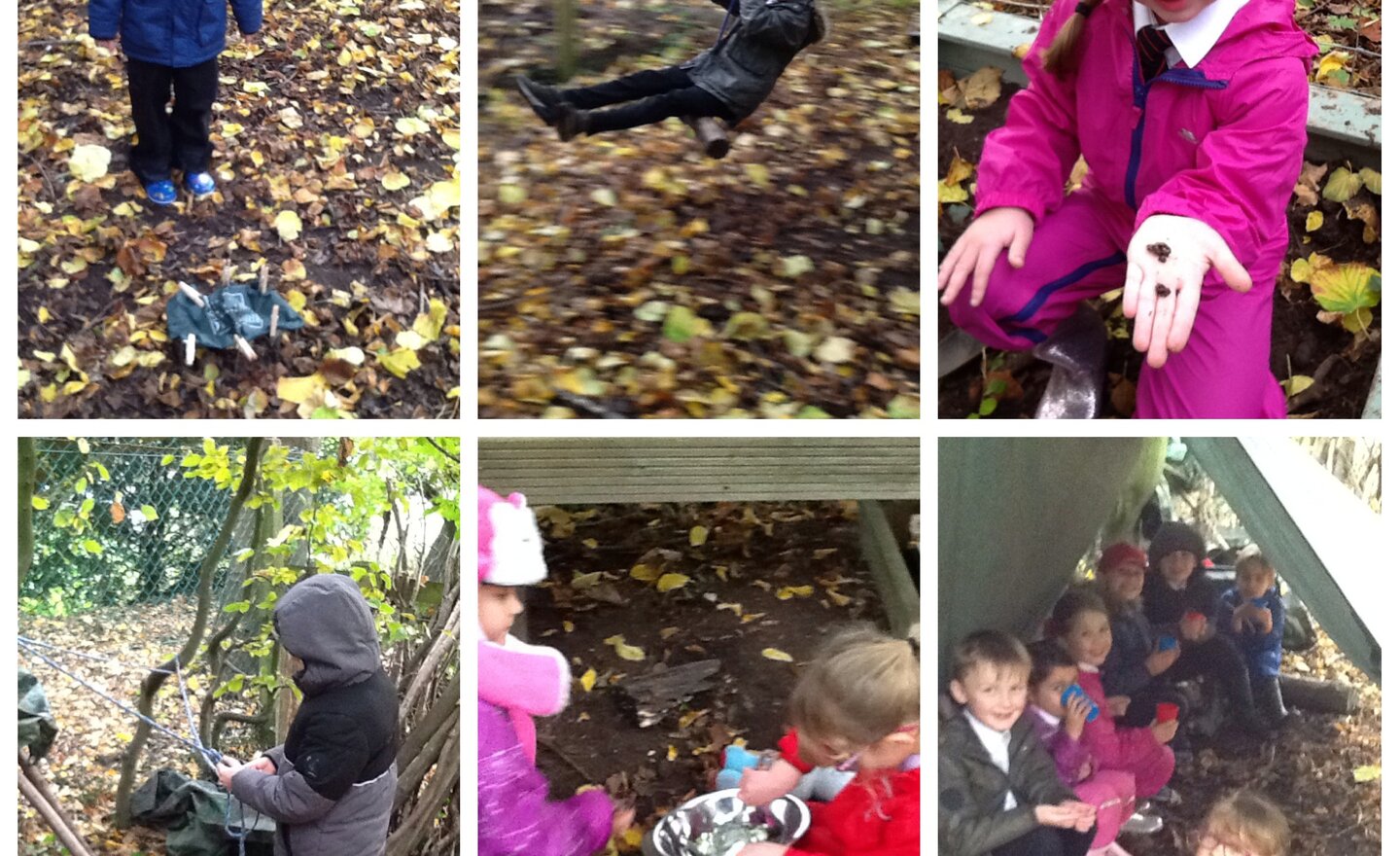 Image of Forest school