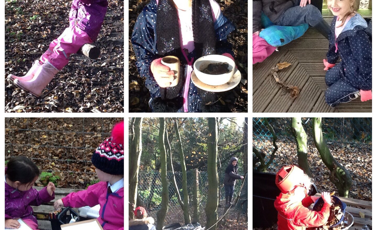 Image of Forest school