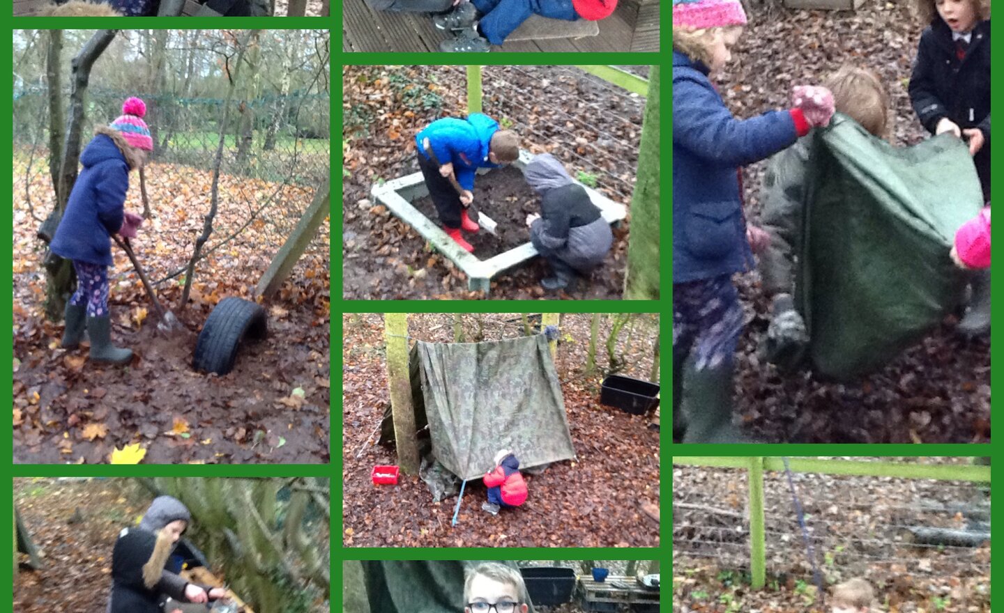 Image of Forest school