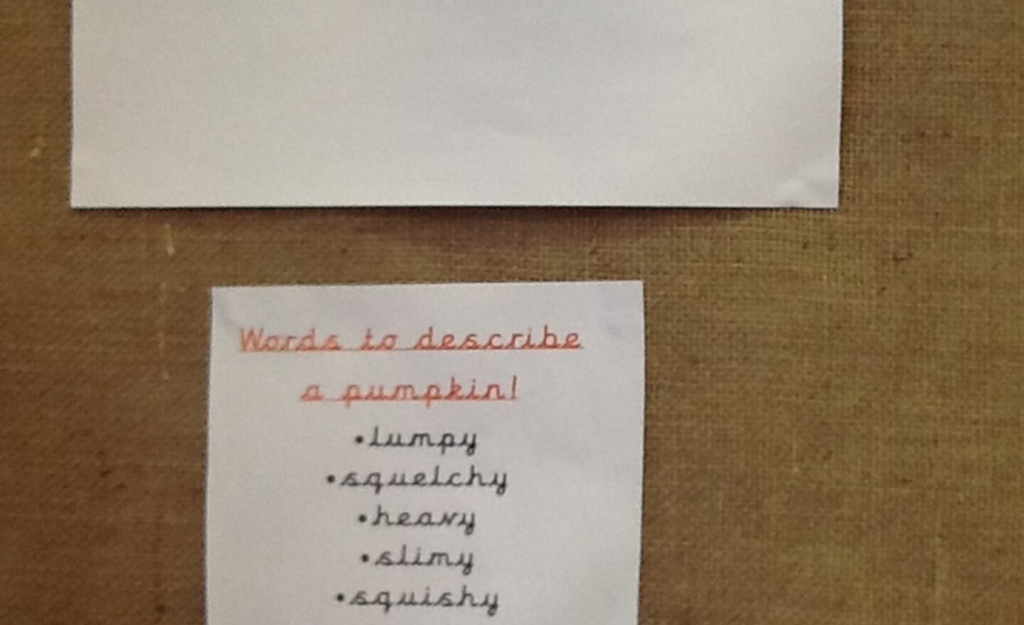 Image of Our word wall!