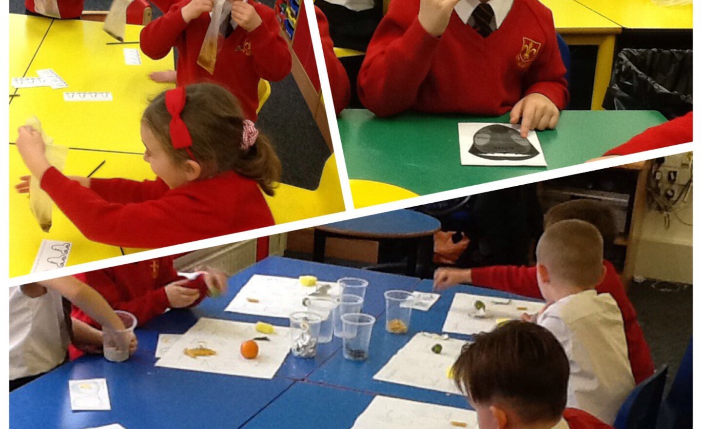 Image of Exploring our senses