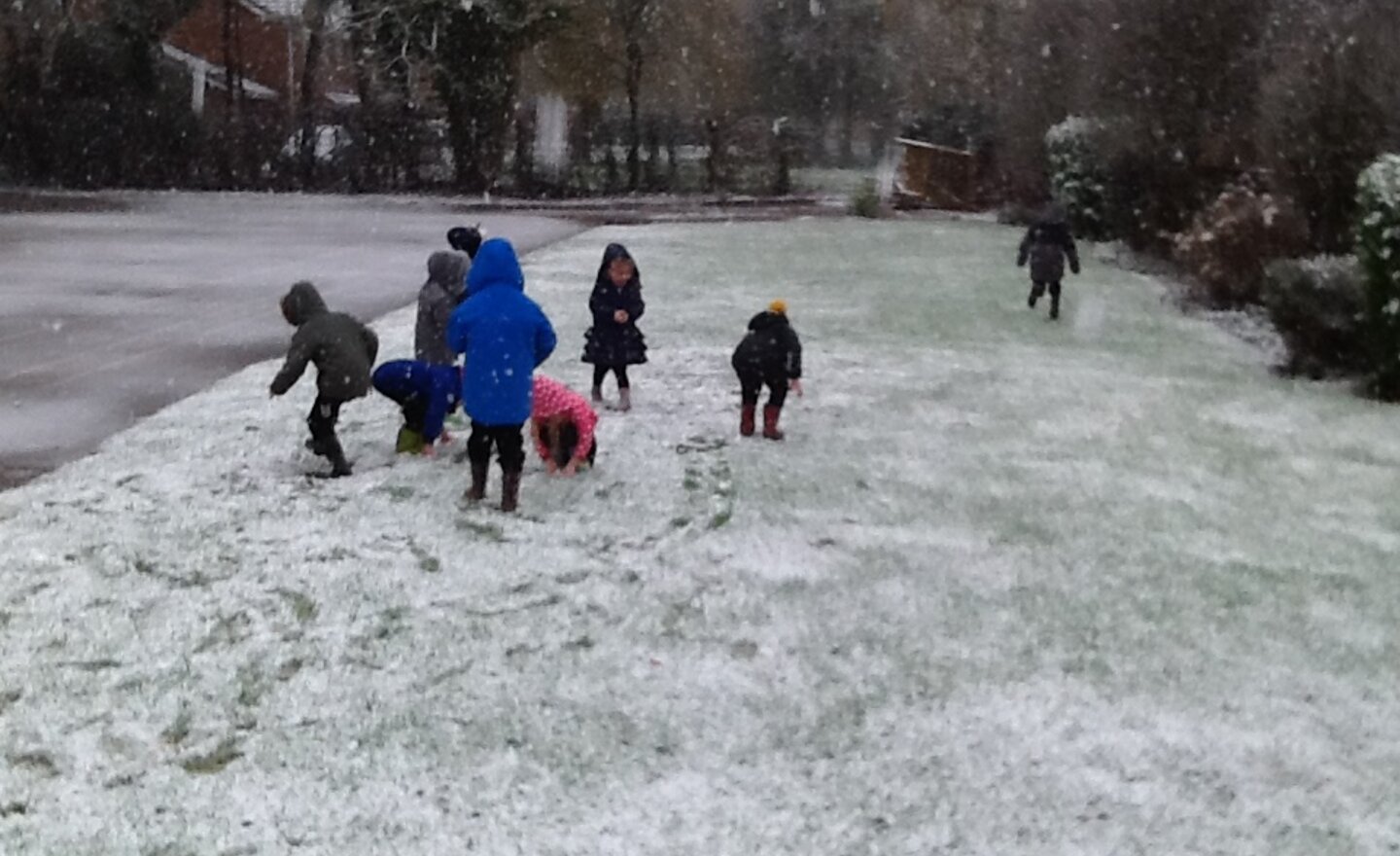 Image of We enjoyed playing in the snow!