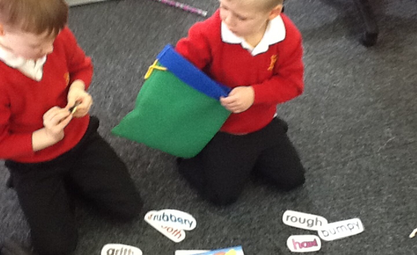 Image of Flying like Eagles in our learning throughout science week! 