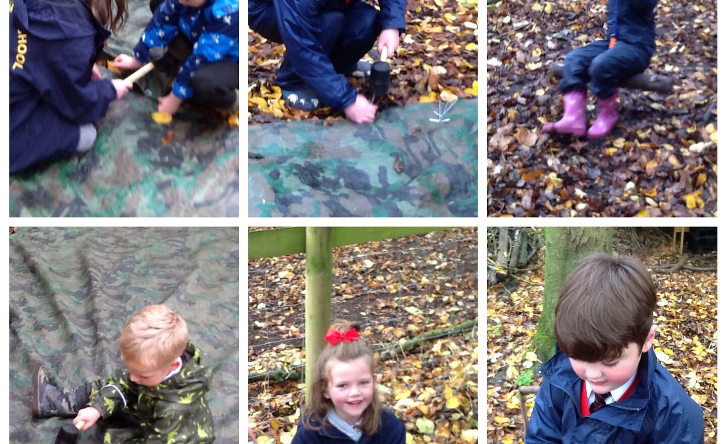 Image of Forest School