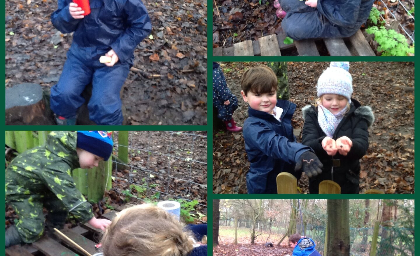 Image of Forest school