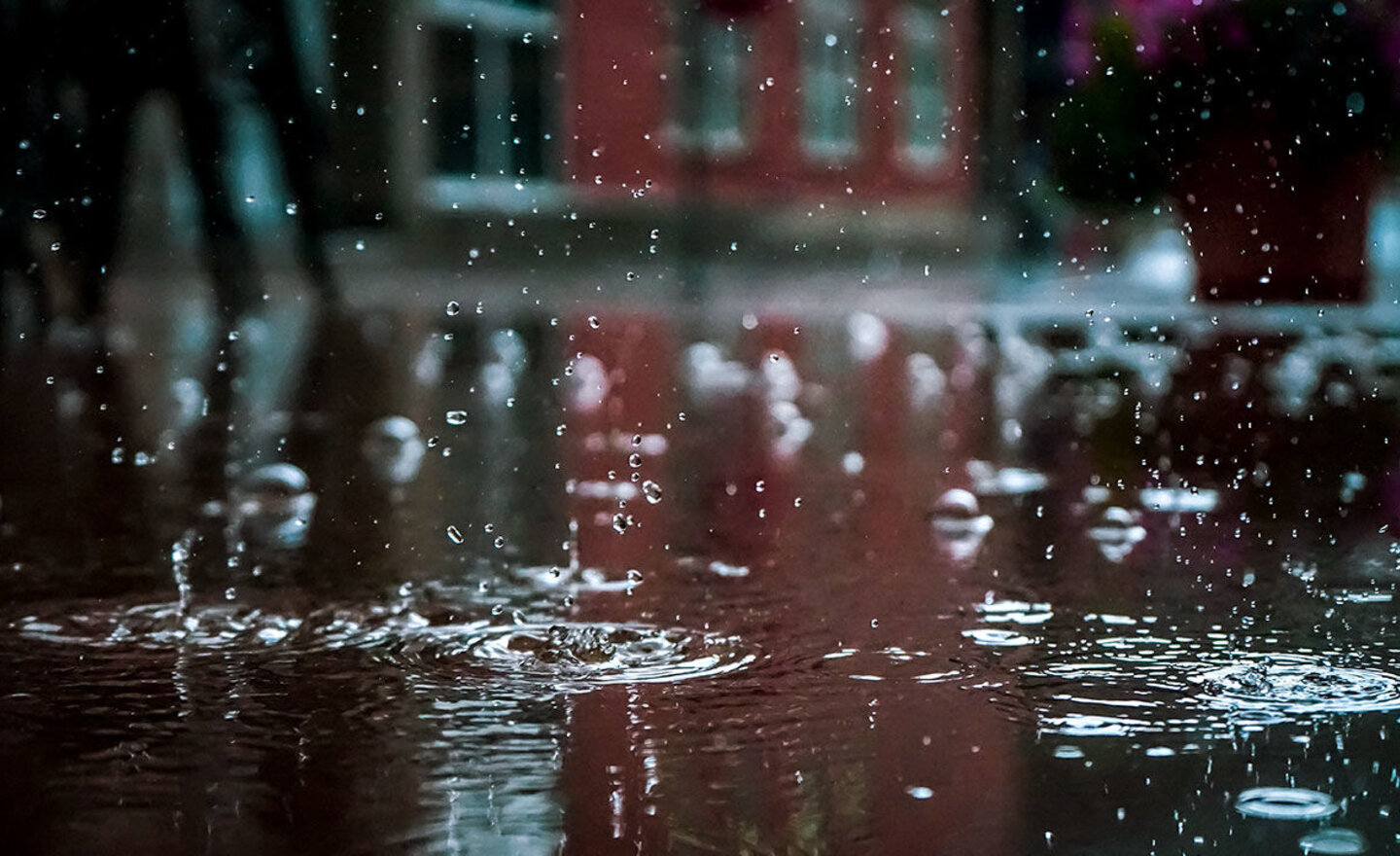 Image of Class 4 School Closure Work- Friday 1st May