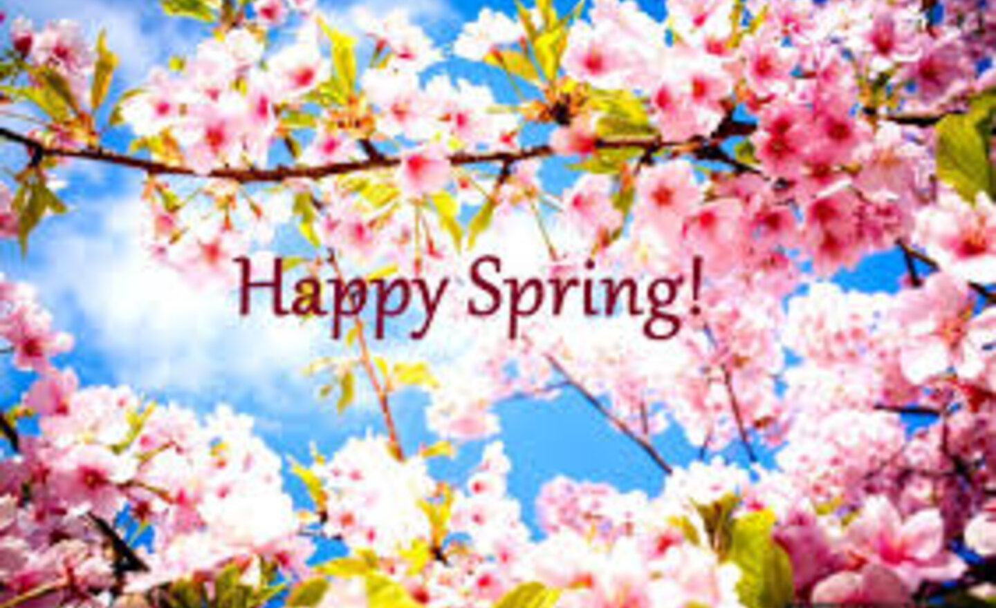 Image of Class One Home learning 1/4/2020.