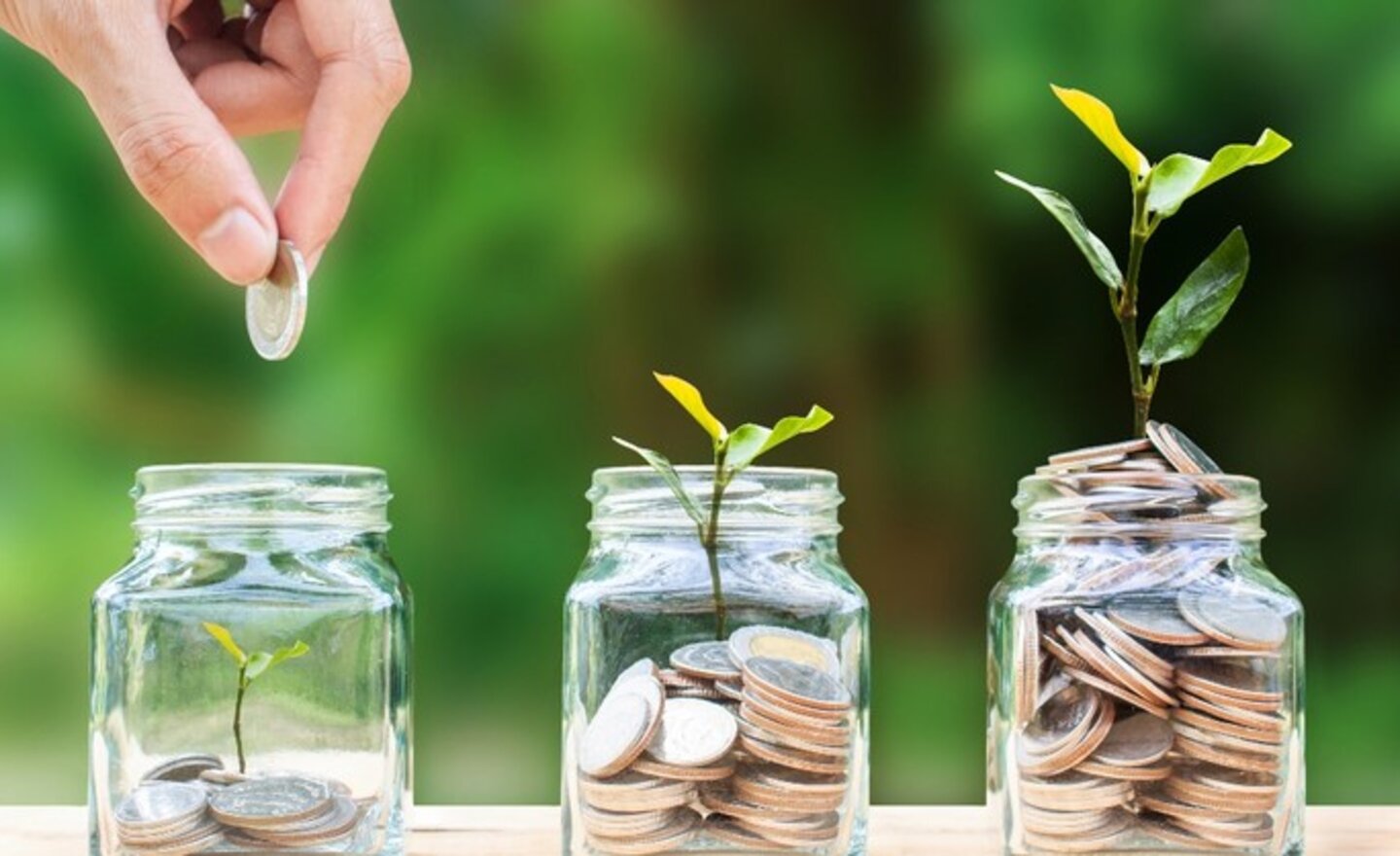 Image of The Parable of the Talents