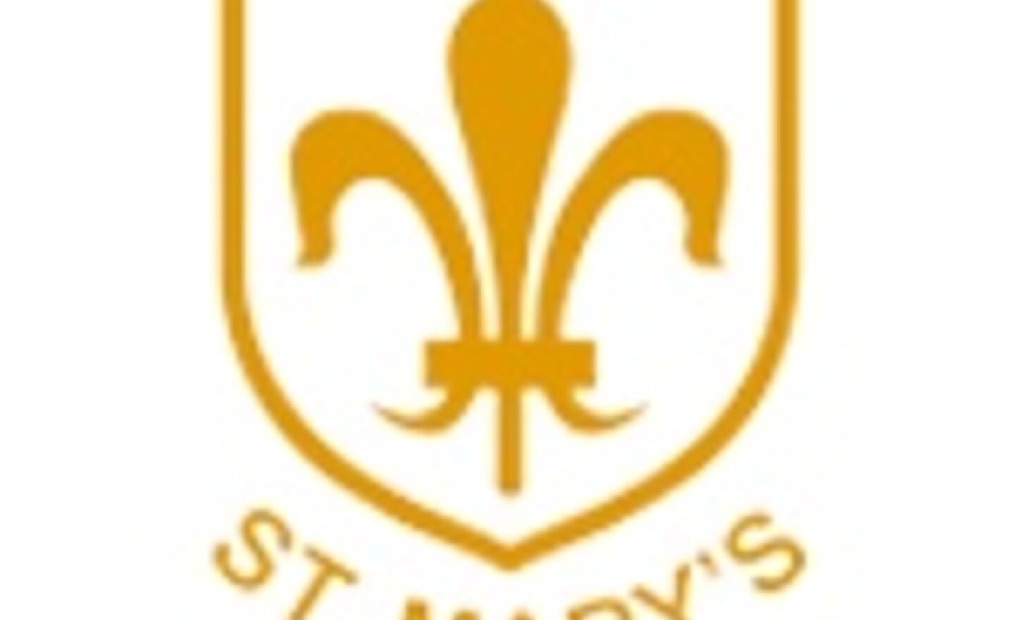 Image of Basketball tournament