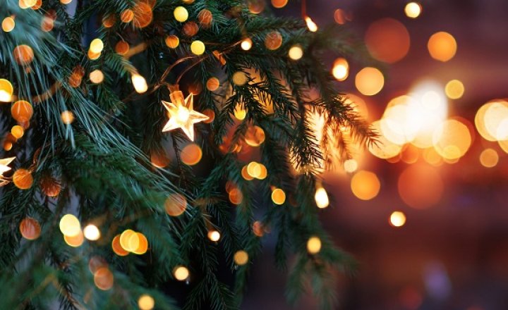 Image of Christmas Community Celebration