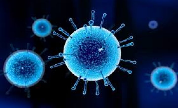 Image of Flu Vaccinations
