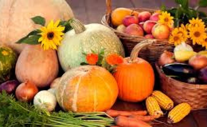 Image of Harvest Festival