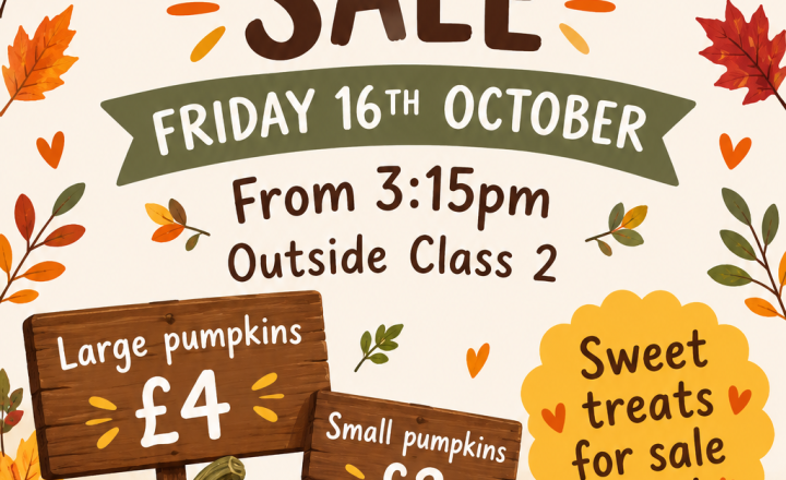 Image of PTA Pumpkin Event